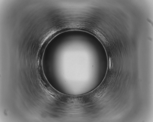 X0000098050723200804071506