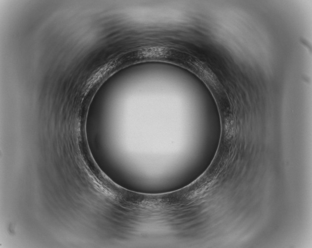 X0000098050725200804071506