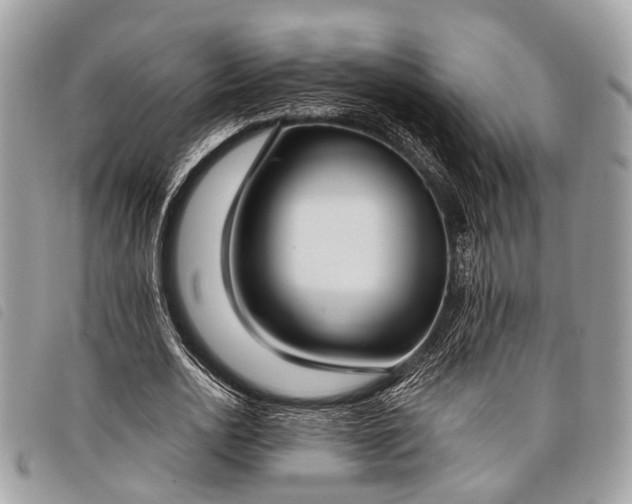 X0000098050726200804071506