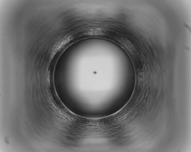 X0000098050727200804071507