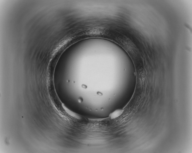 X0000098050728200804071507