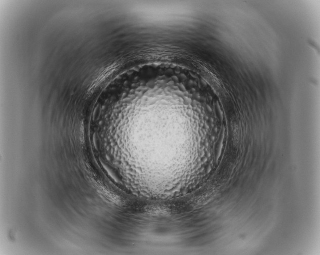 X0000098050729200804071507