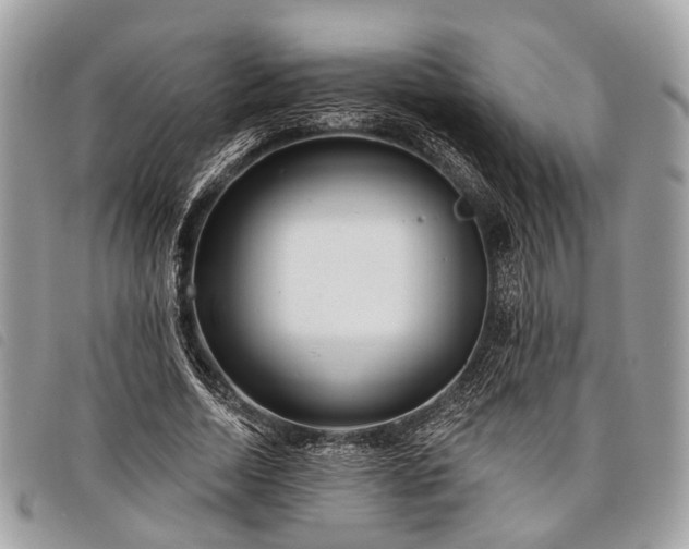 X0000098050730200804071507