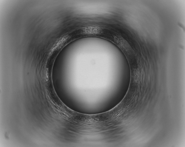 X0000098050731200804071507