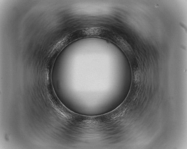 X0000098050733200804071507