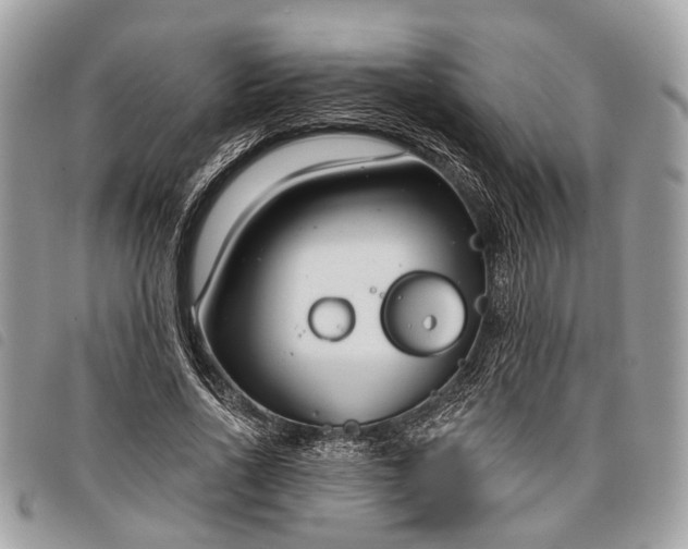 X0000098050734200804071507