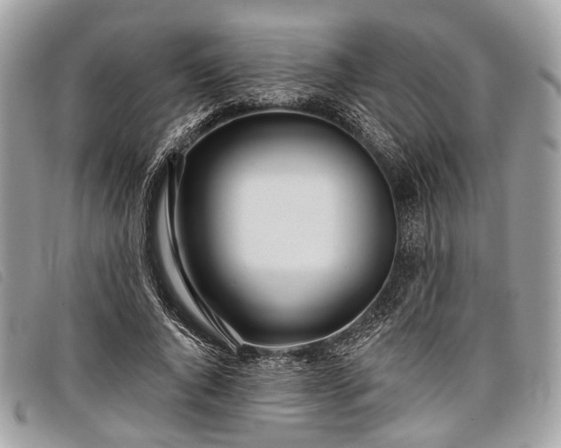 X0000098050736200804071507