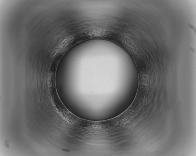 X0000098050738200804071507