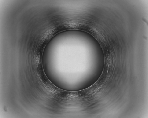 X0000098050739200804071507