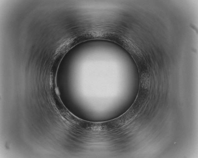 X0000098050740200804071507