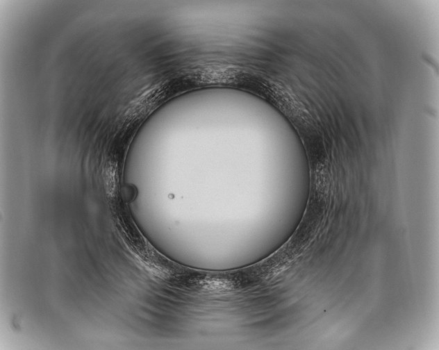 X0000098050741200804071507