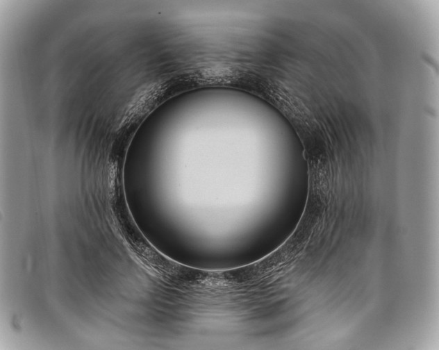 X0000098050742200804071507