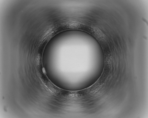 X0000098050744200804071507