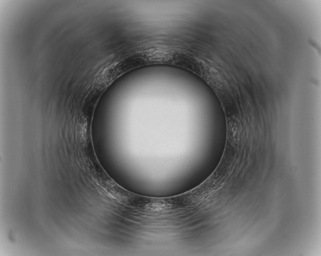 X0000098050745200804071507