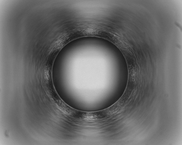 X0000098050746200804071507