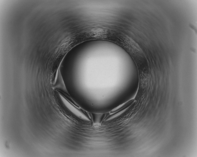 X0000098050748200804071507