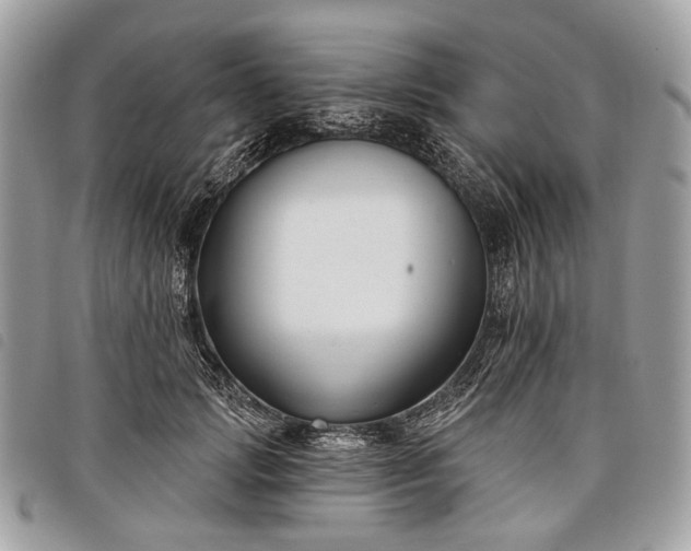 X0000098050749200804071507