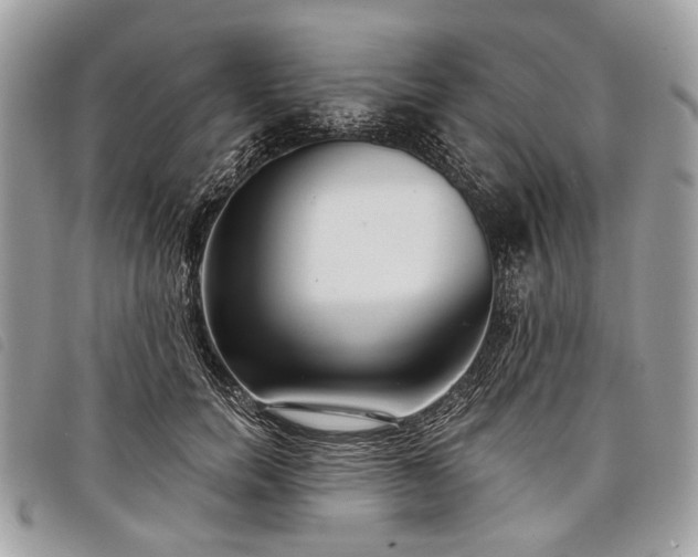 X0000098050750200804071507