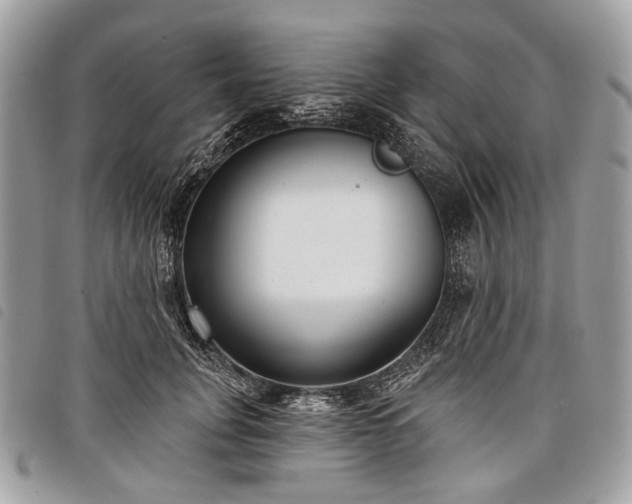 X0000098050751200804071507