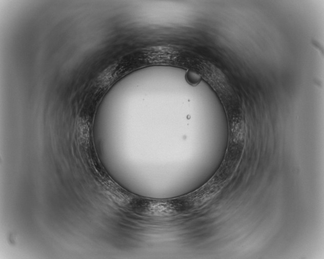 X0000098050753200804071507