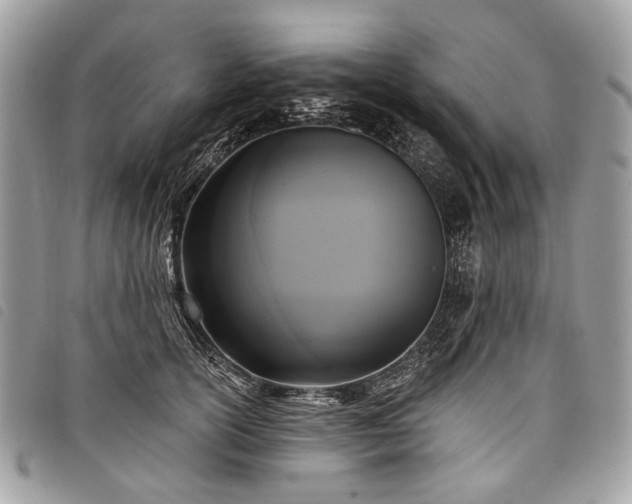 X0000098050754200804071507