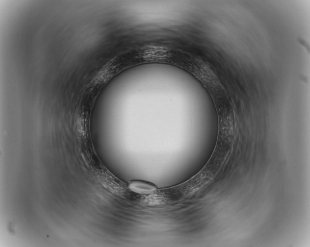 X0000098050755200804071507