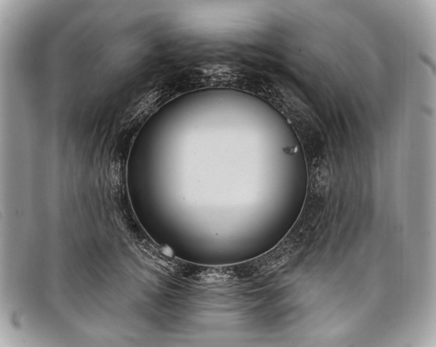 X0000098050756200804071507