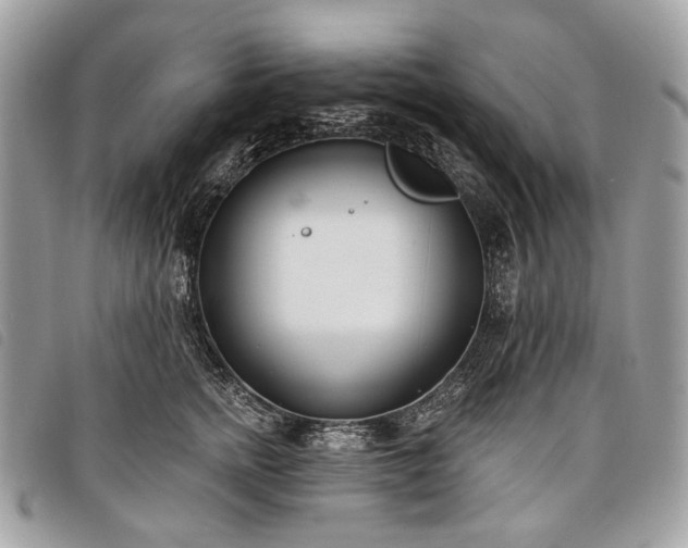 X0000098050758200804071507