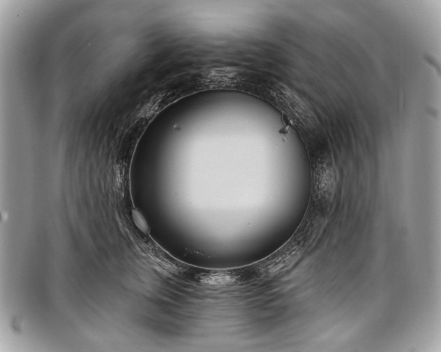 X0000098050759200804071507