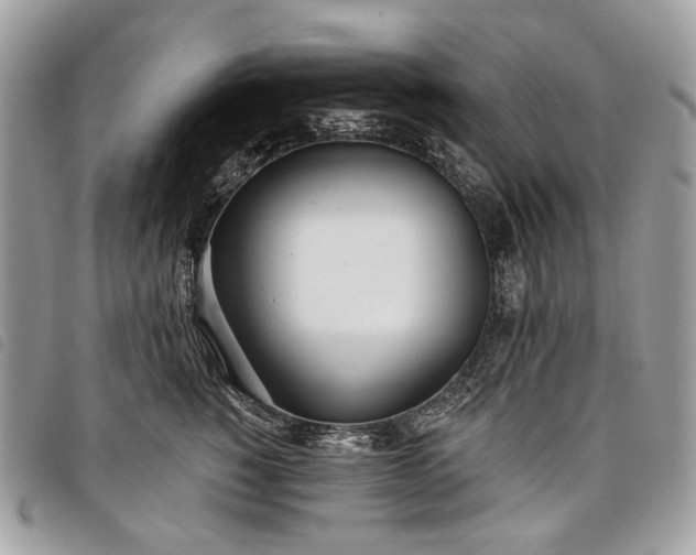 X0000098050760200804071507