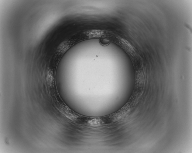 X0000098050761200804071507