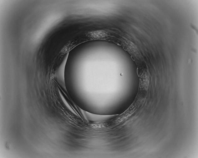 X0000098050762200804071507