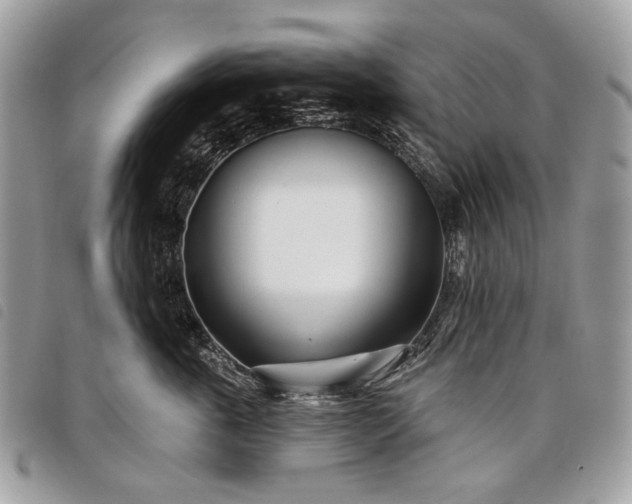 X0000098050763200804071507