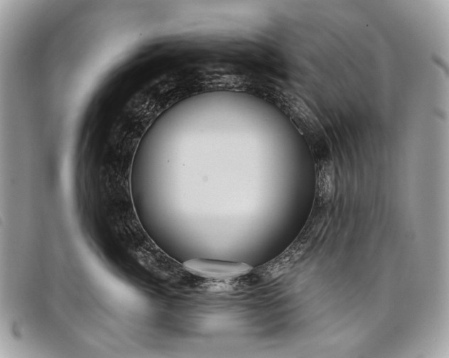 X0000098050764200804071507