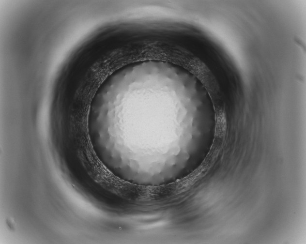 X0000098050765200804071507