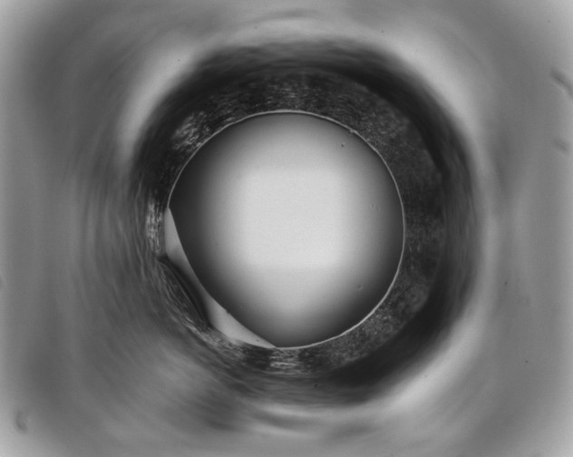 X0000098050766200804071507