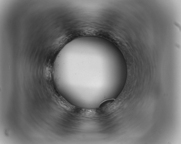 X0000098050768200804071507