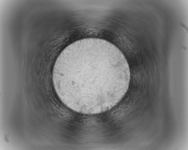 X0000098050769200804071506