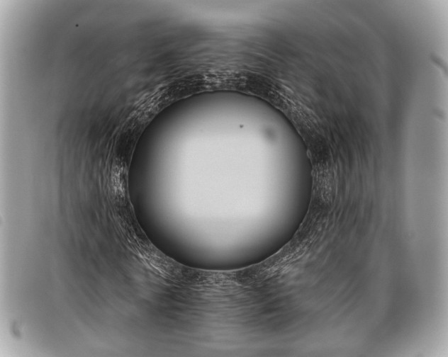 X0000098050770200804071506