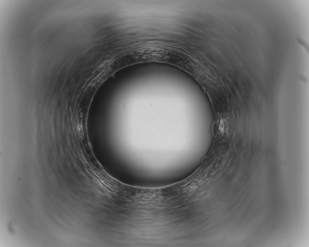 X0000098050771200804071506