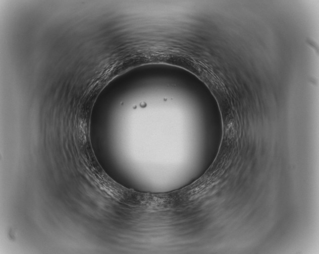 X0000098050772200804071506