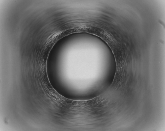 X0000098050773200804071506