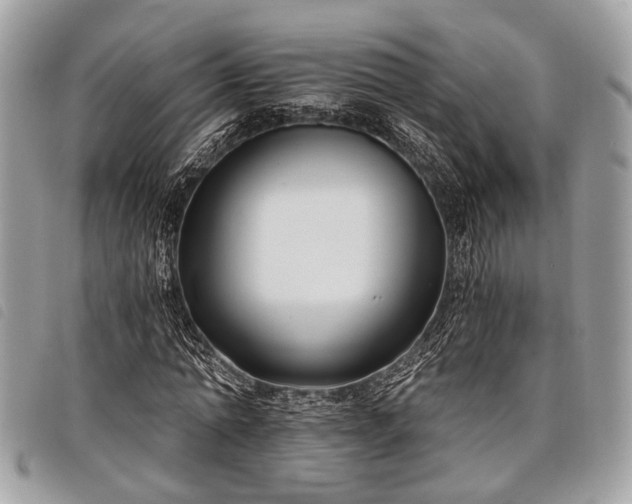 X0000098050774200804071506