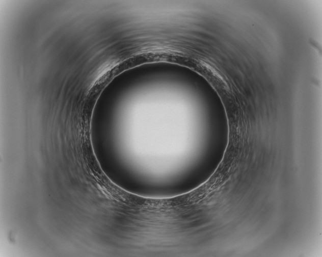 X0000098050775200804071506