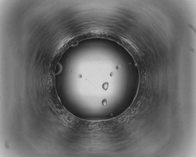 X0000098050776200804071506