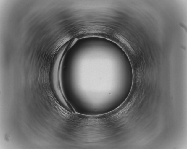 X0000098050777200804071506