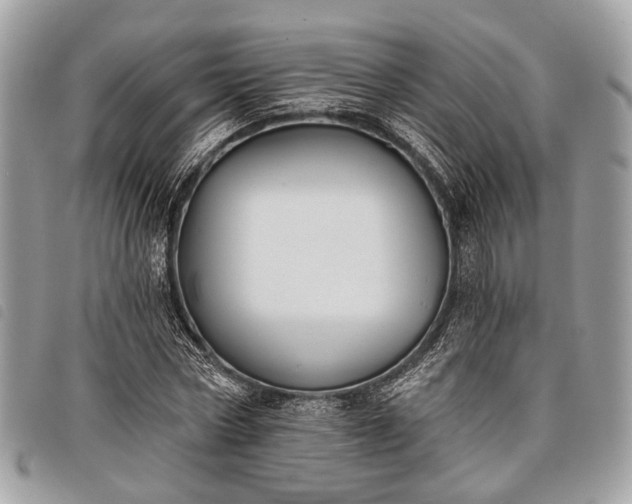 X0000098050778200804071506