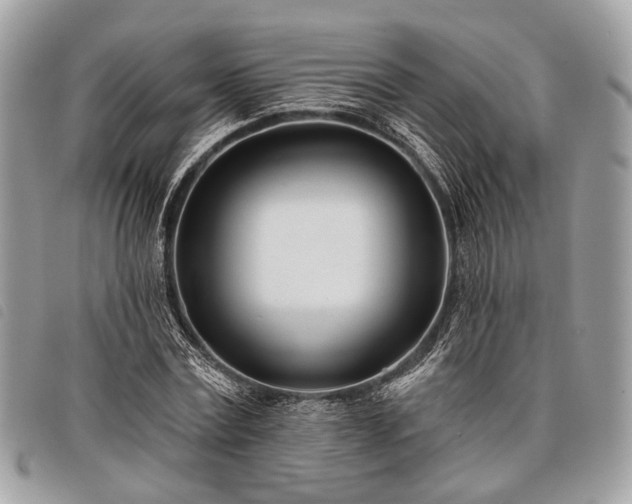 X0000098050779200804071506