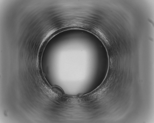 X0000098050780200804071506