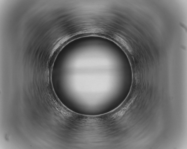 X0000098050781200804071506